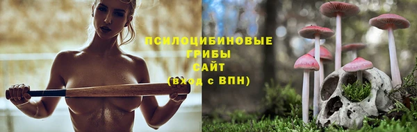 винт Алзамай