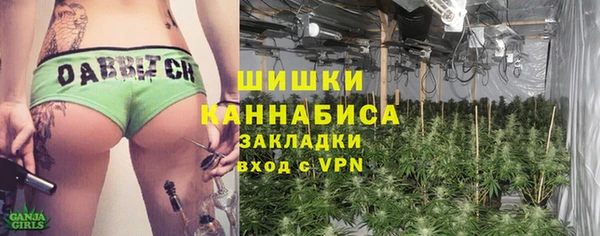 винт Алзамай