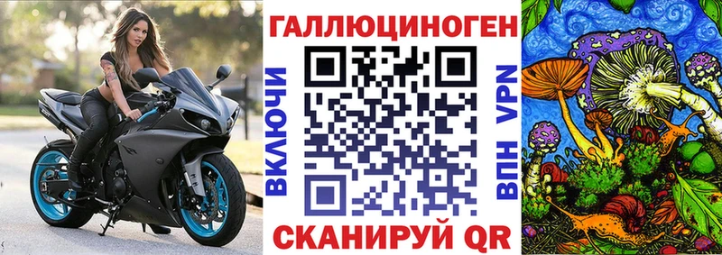 MEGA tor  дарнет шоп  Ахтырский  Псилоцибиновые грибы Psilocybe 